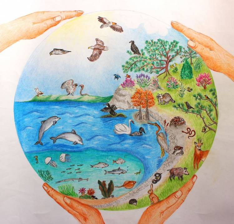В Анапе подвели итоги конкурса «Биоразнообразие заповедника «Утриш»