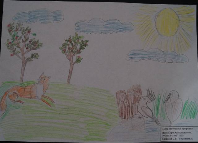 В Гыданском заповеднике подведены итоги конкурса детских рисунков «Природы