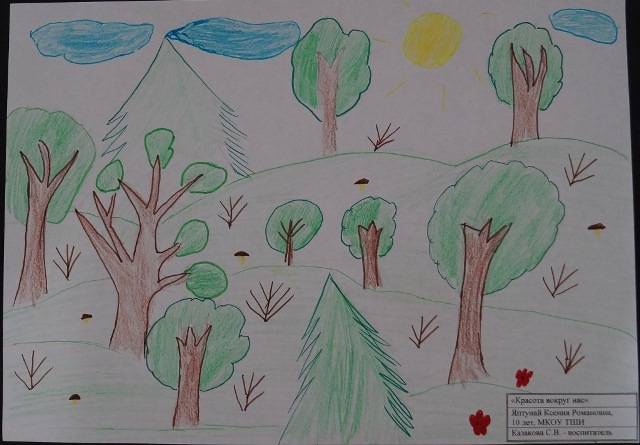 В Гыданском заповеднике подведены итоги конкурса детских рисунков «Природы