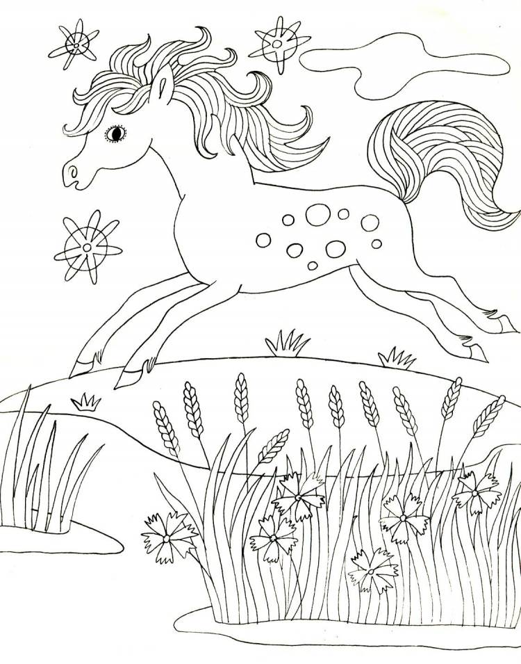 Иллюстрация к сказке Сивка бурка раскраска