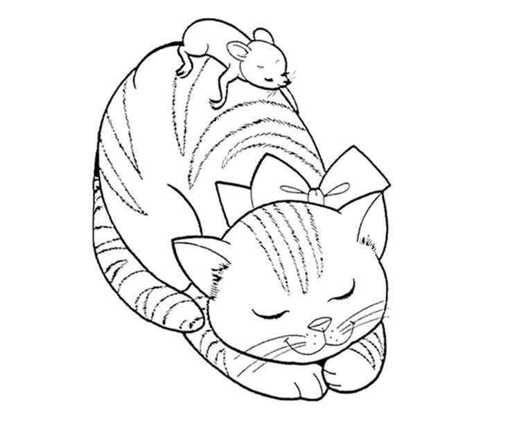 Спящая кошечка с мышкой