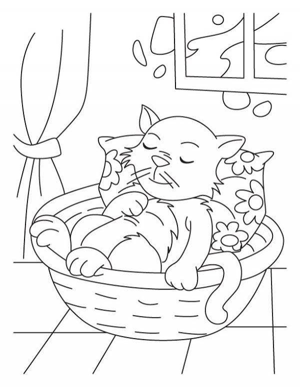 Раскраски Раскраска Рисунок кошка спит домашние животные, Раскраски детские