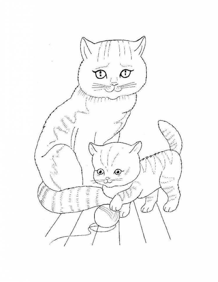Раскраски Раскраска Кошка с котенком и клубком домашние животные, Раскраски детские