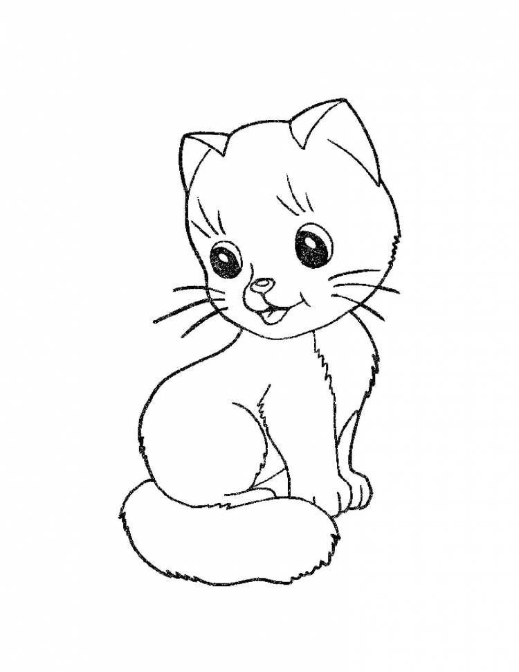 Раскраски Раскраска Кошка милые животные, Раскраски детские