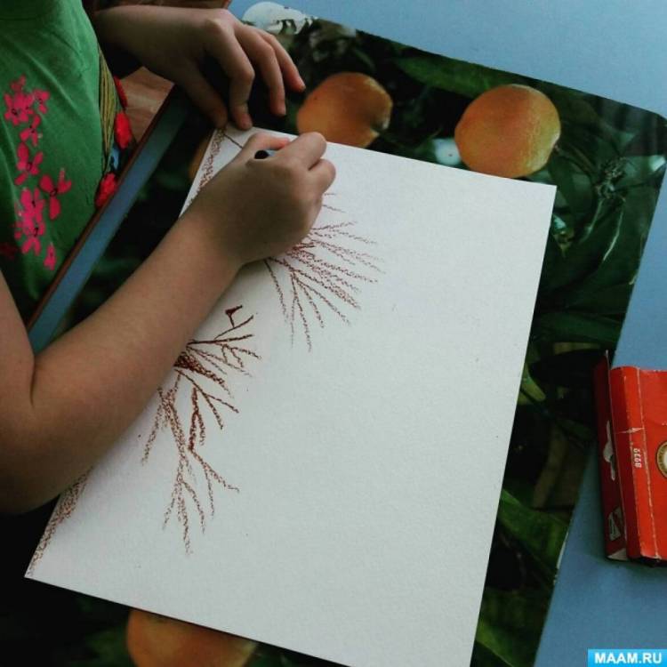 Конспект занятия по рисованию восковыми карандашами «Путешествие в осенний лес» 