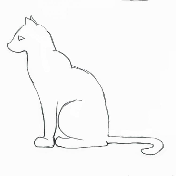 Рисунок сидящий кот карандашом