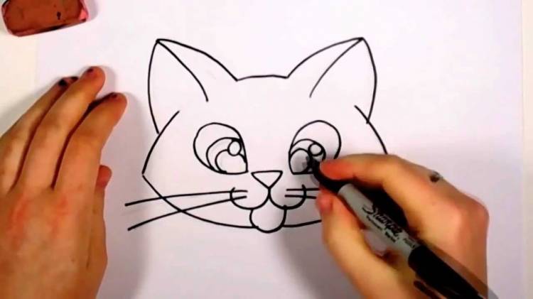Учимся рисовать лицо котёнка