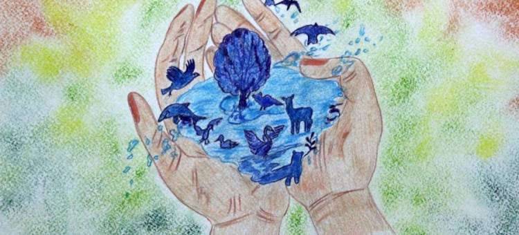 Рисунки о Байкале ждут на конкурс о водных ресурсах России