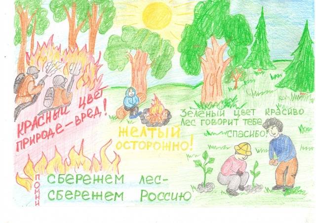 В Бурятии выбрали лучшие плакаты и рисунки о защите леса