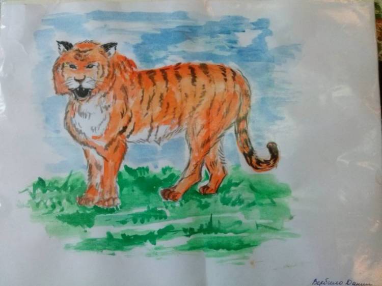 Детские рисунки в рамках акции «Сохраним тигра» (фотоотчёт) 