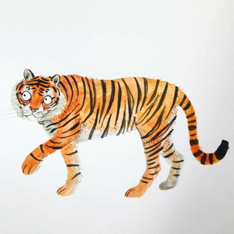 Амурский тигр рисунок для детей