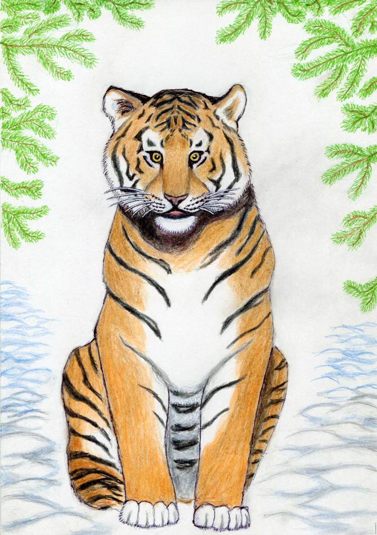 Рисунок на тему Амурский тигр