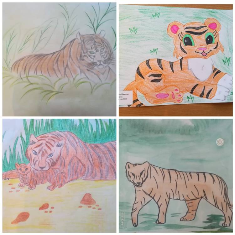 Выставка рисунков «День Тигра»