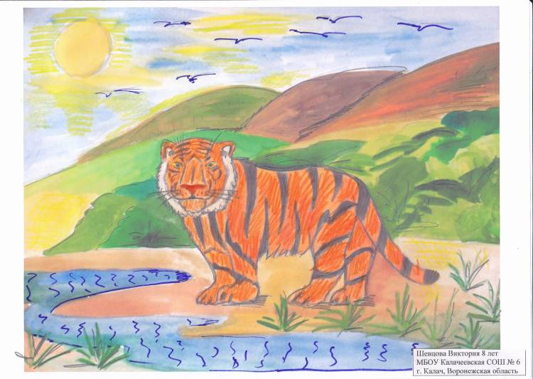 Детские рисунки тигра