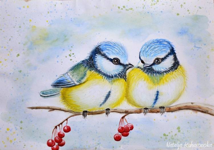 Рисунки птиц зимой для срисовки