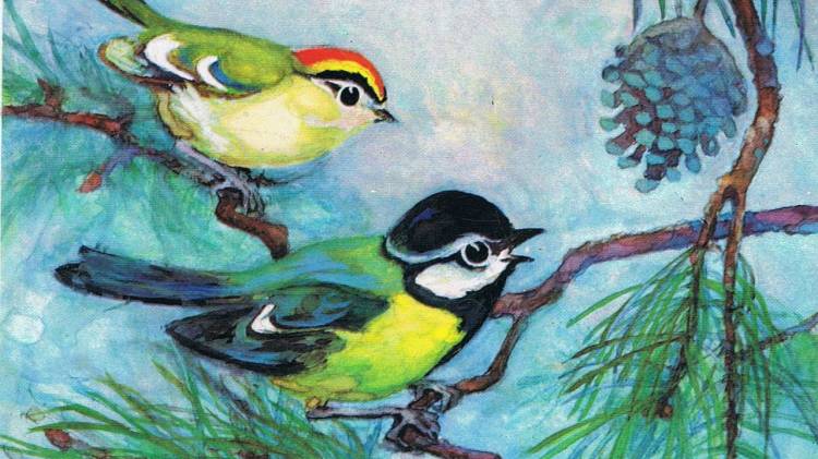 Минприроды Крыма информирует о проведении Всероссийского конкурса детских рисунков «Птицы русского леса»