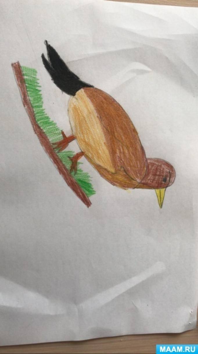 Экологический конкурс детских рисунков «Пернатые друзья» посвященному Международному Дню птиц