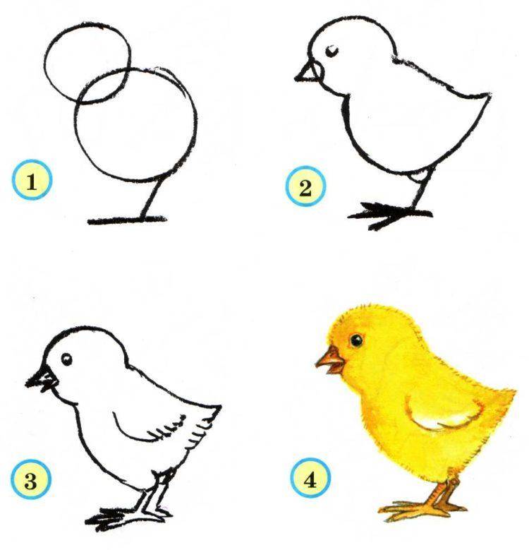Как нарисовать птицу ребенку