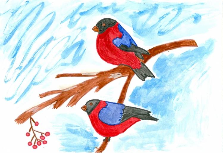 Рисунок на тему зимующие птицы