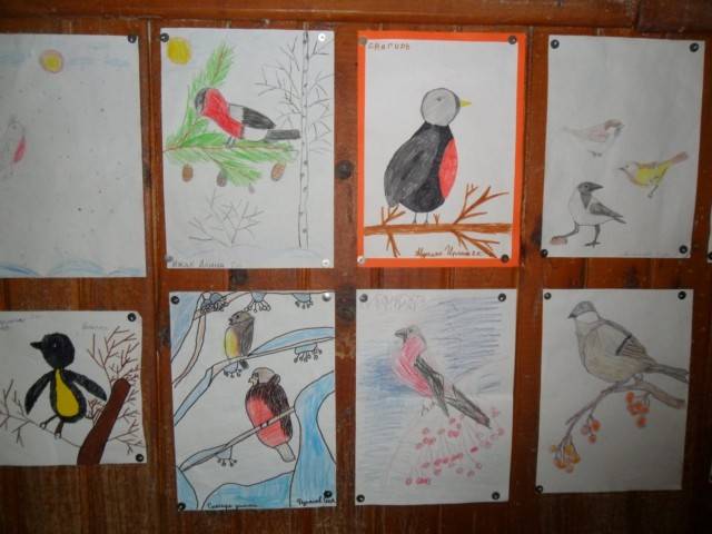 Конкурс рисунков Зимующие птицы