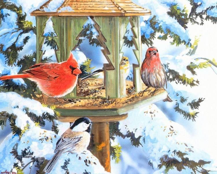 Проект «Зимующие птицы»