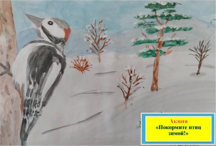 Итоги конкурса «Знакомьтесь, зимующие птицы Приамурья!»