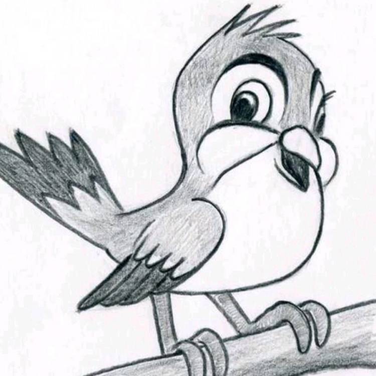 Птица рисунок легкий для срисовки