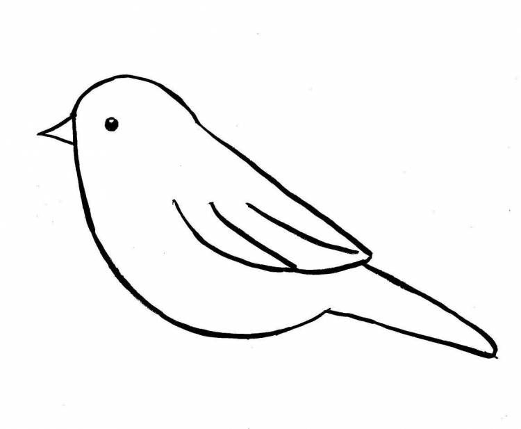 Птица детский рисунок простой 