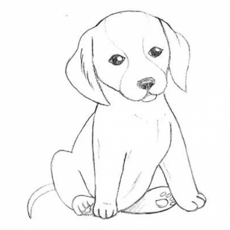Детский рисунок собаки простым карандашом 
