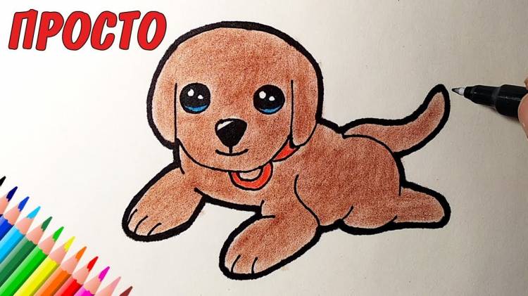 How to draw a cute puppy whole, easy drawings for kids and beginners drawings