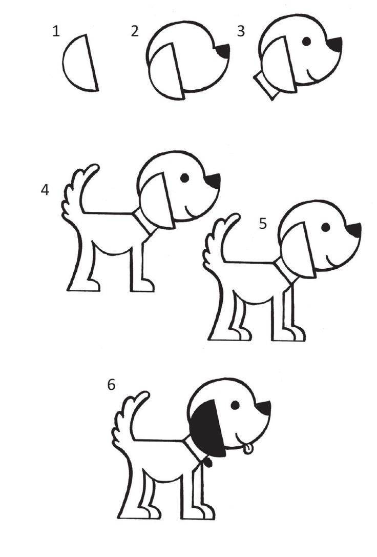 Как нарисовать собаку карандашом поэтапно? Простой мастер-класс для начинающих и детей, как рисовать взрослую собаку или щенка