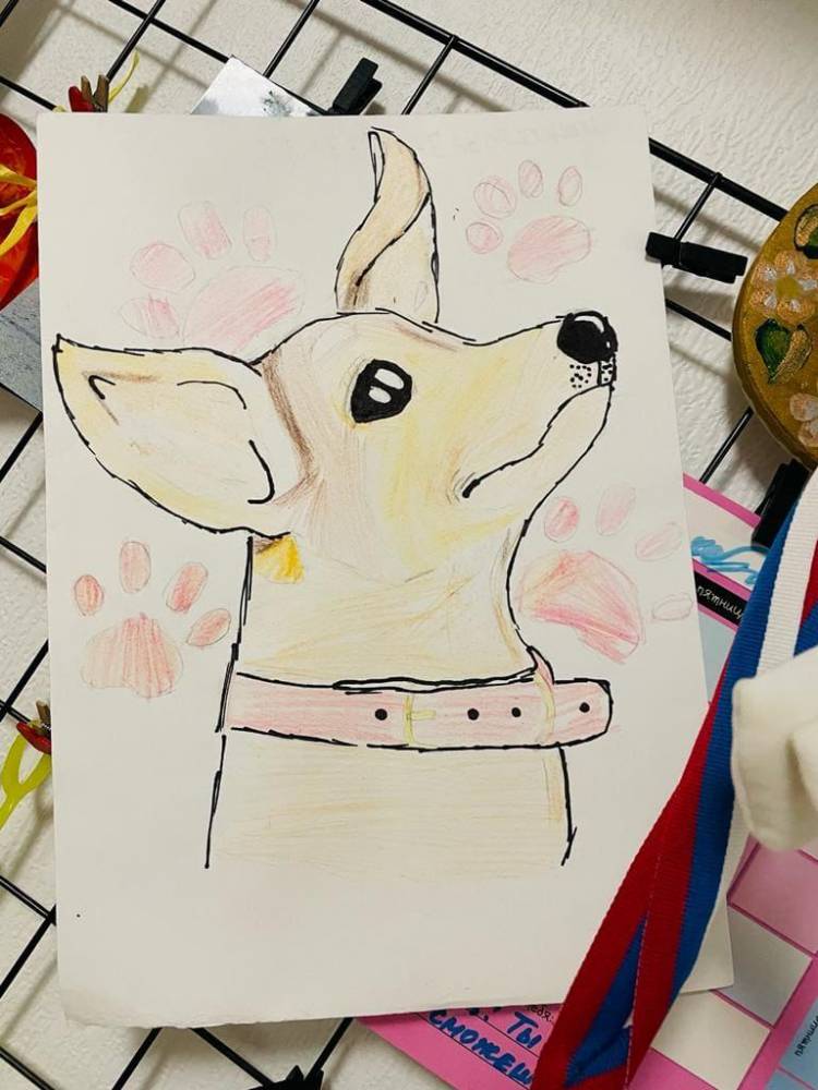 Галерея работ участников конкурса детских рисунков «Я и моя собака»