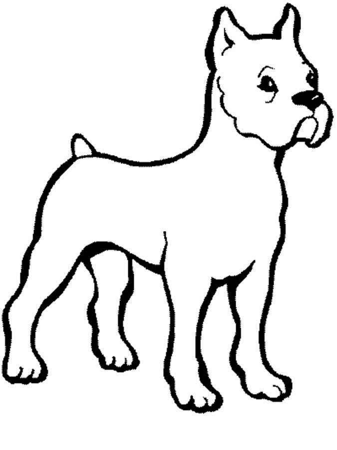 Раскраски Раскраска Рисунок собаки домашние животные, Раскраски детские