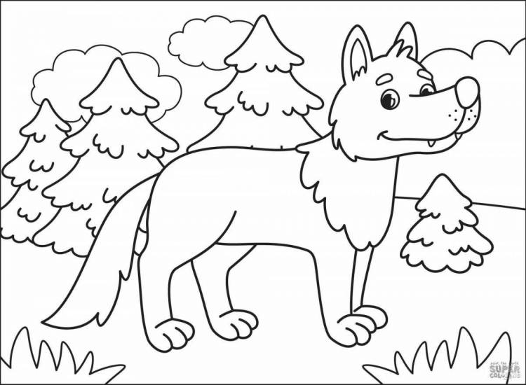 Раскраски Волк для детей