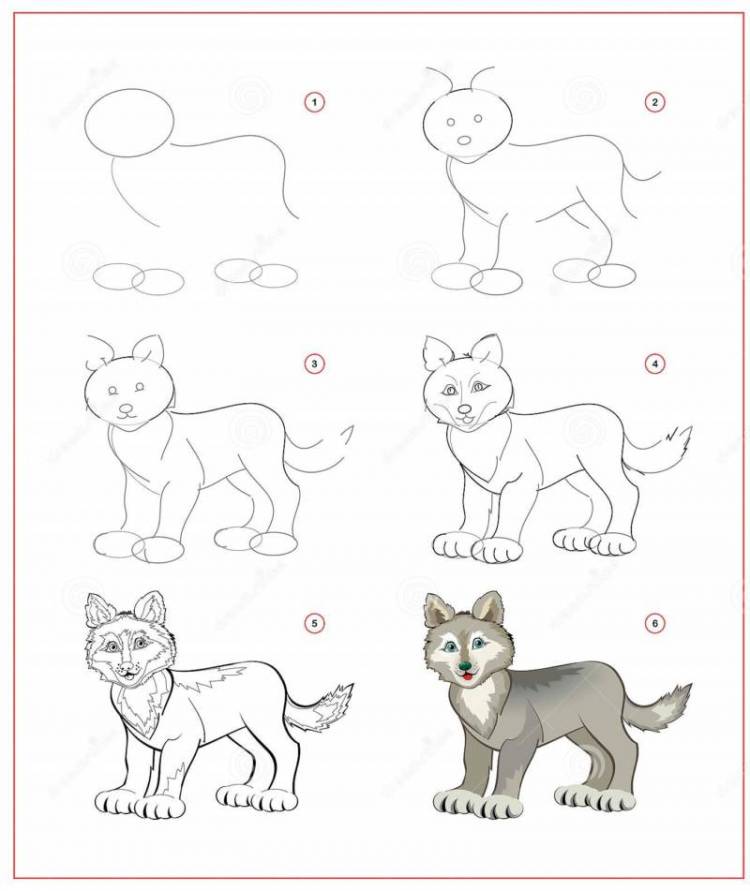Как нарисовать волка 