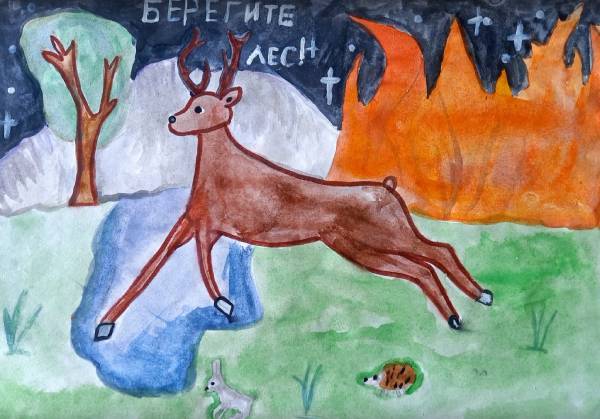 Школьники Бурятии показали, как нужно беречь лес от пожаров