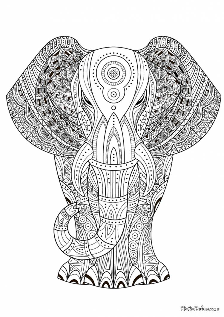 Раскраска Индийский слон распечатать или скачать