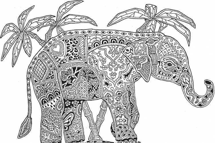 Слон индийский слон Раскраски антистресс а