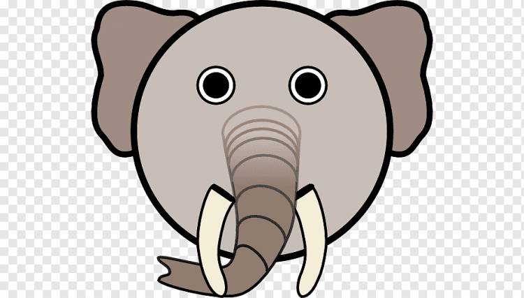 Лицо животных, рисунки слонов для детей, млекопитающее, лицо, плотоядный png
