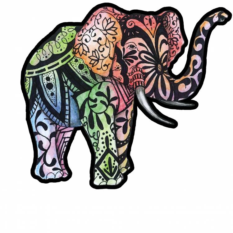 Индийский слон рисунок карандашом