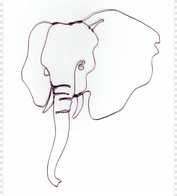 Индийский слон Рисунок африканского слона, контур лица слона, белый, млекопитающее png