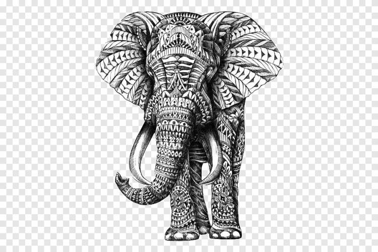 иллюстрация серого и черного слона, эскиз орнамента чертежа индийского слона, покрашенный слон, Акварельная живопись, белый png
