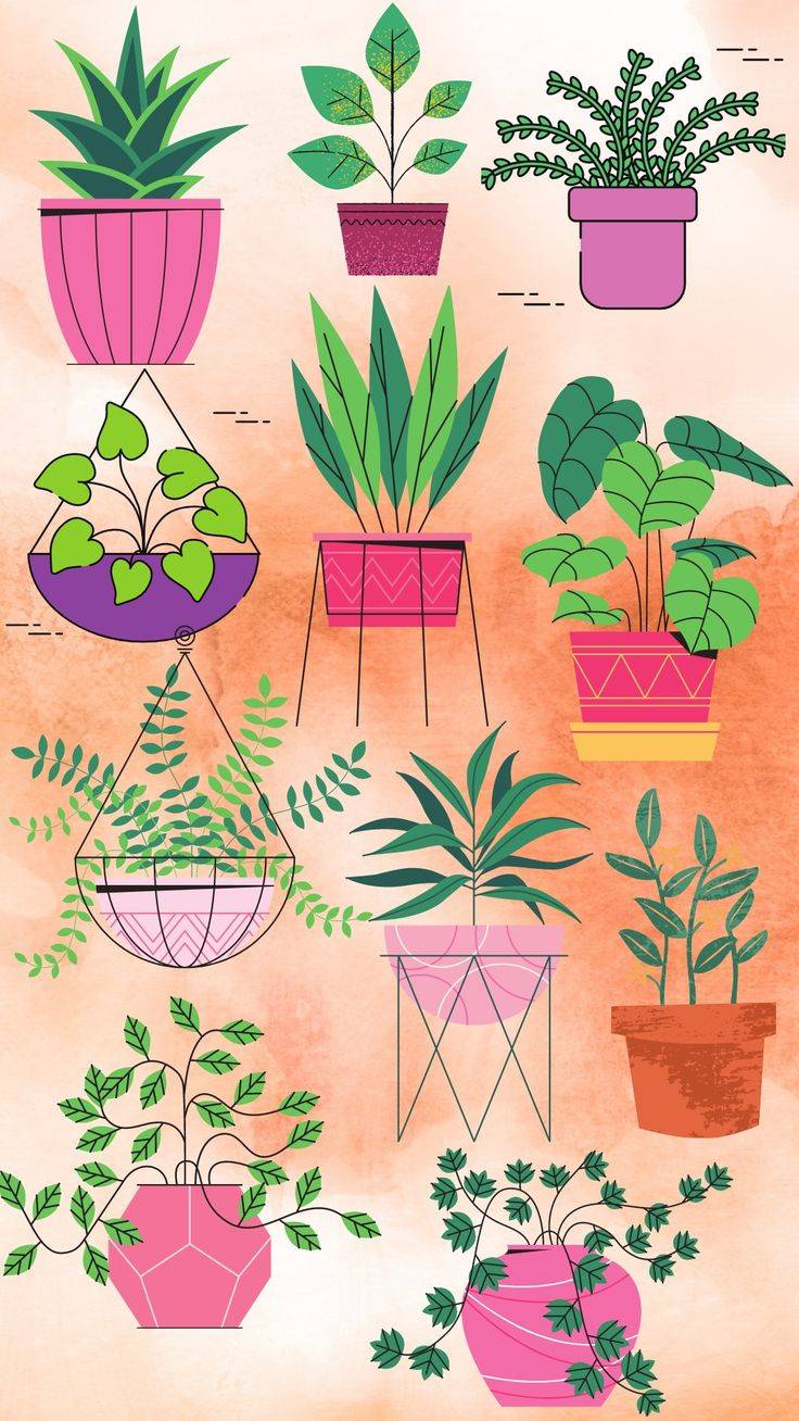 Идеи для рисования растений Варианты вазонов для рисование Растение карандашом или акварелью