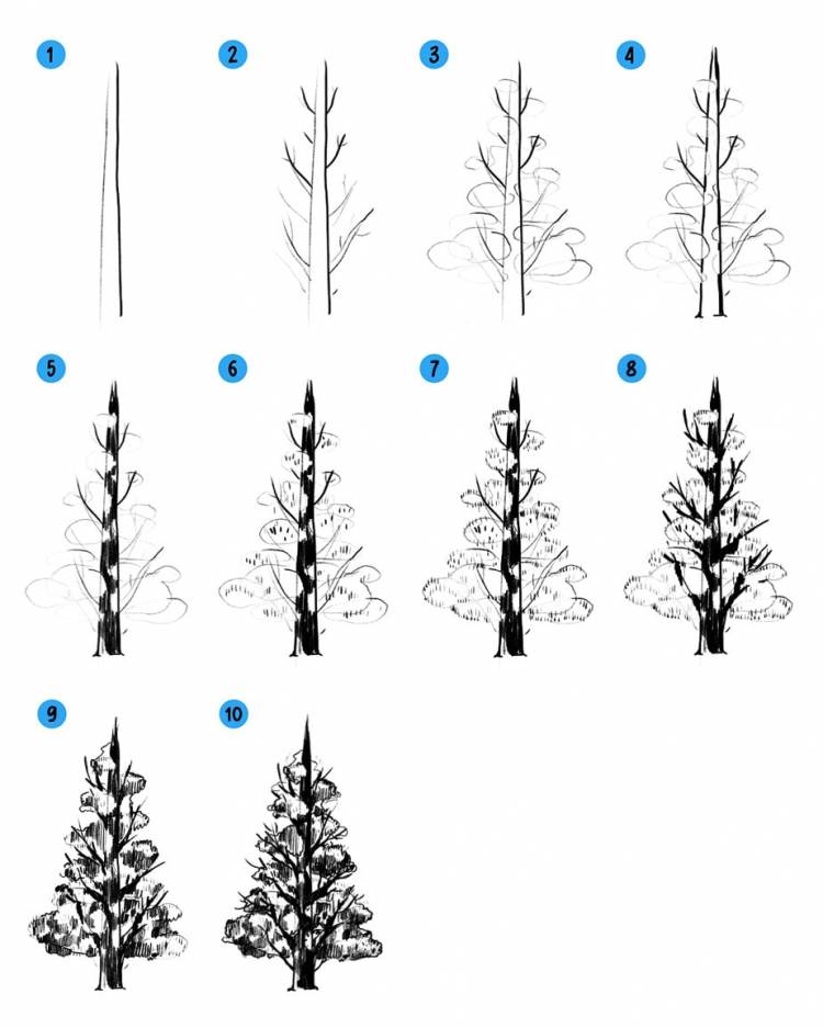Как нарисовать дерево поэтапно видео уроки рисования для детей и начинающих » Рисуем деревья карандашом, акварелью и гуашью