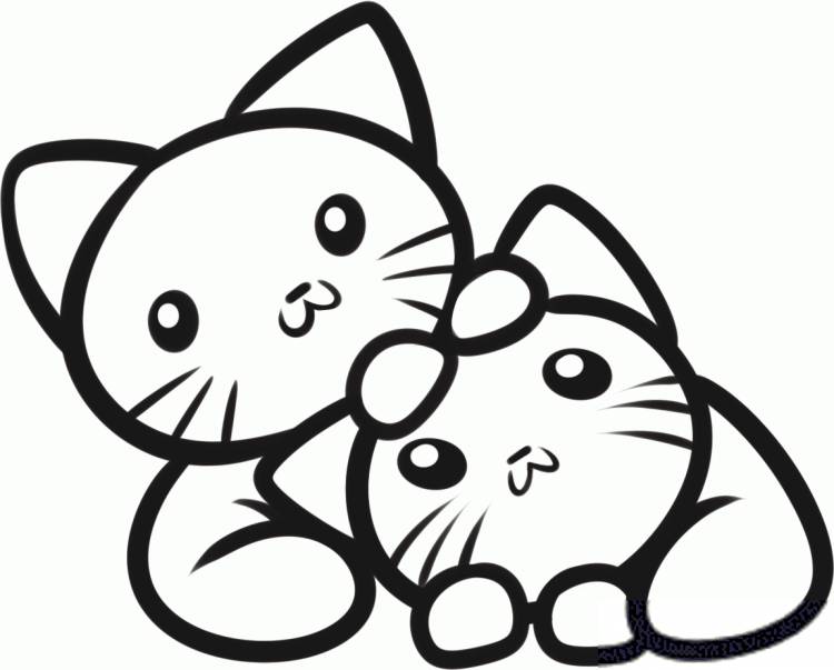 Простые рисунки котиков для срисовки