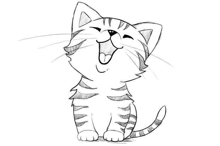 Рисунки кошек для срисовки легкие и красивые