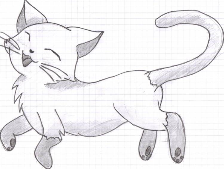 Коты рисунки карандашом для срисовки