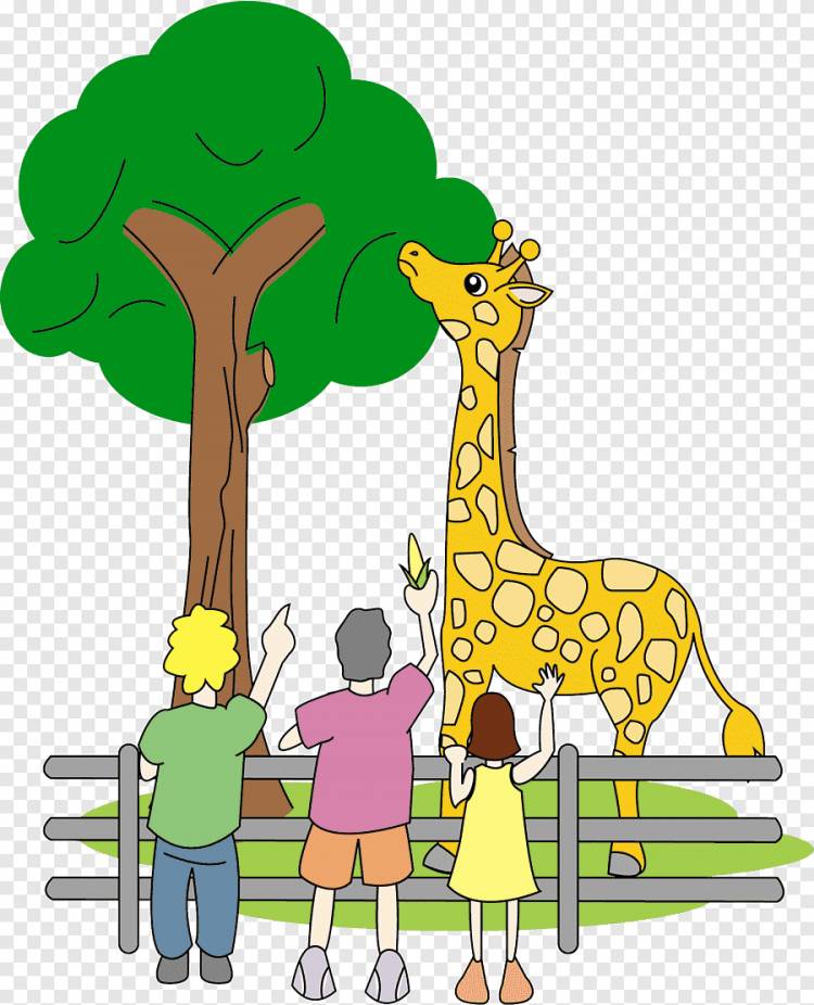 Детский рисунок зоопарк 