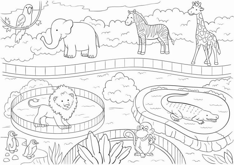 Животные в парке рисунок