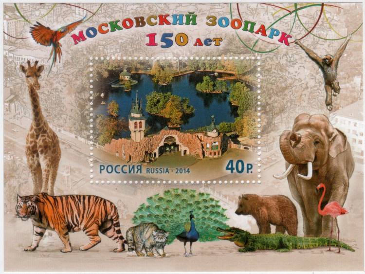 Московский зоопарк рисунок (большое количество фото)